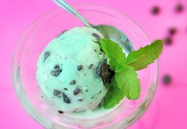 mint chocolate chip ice cream vita mix mint chocolate chip ice cream vita mix
