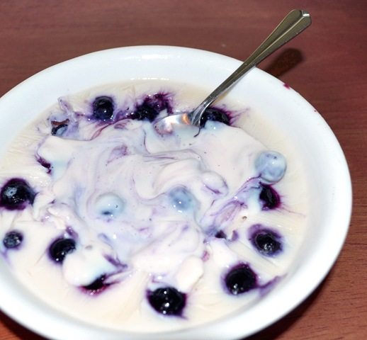 vegan greek yogurt