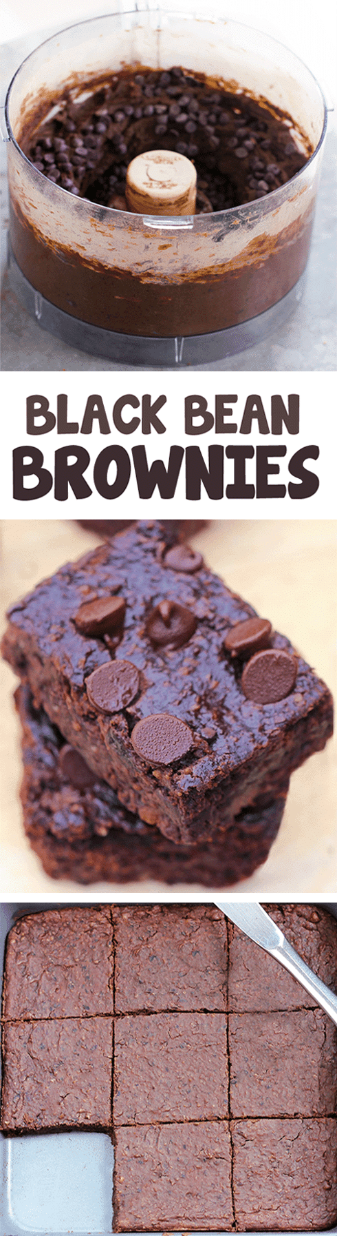 The Best Black Bean Brownies Recipe From Scratch The Best Black Bean Brownies Recipe From Scratch