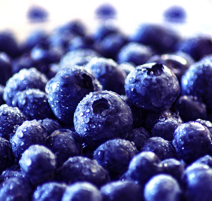 Fresh Blueberries Fresh Blueberries