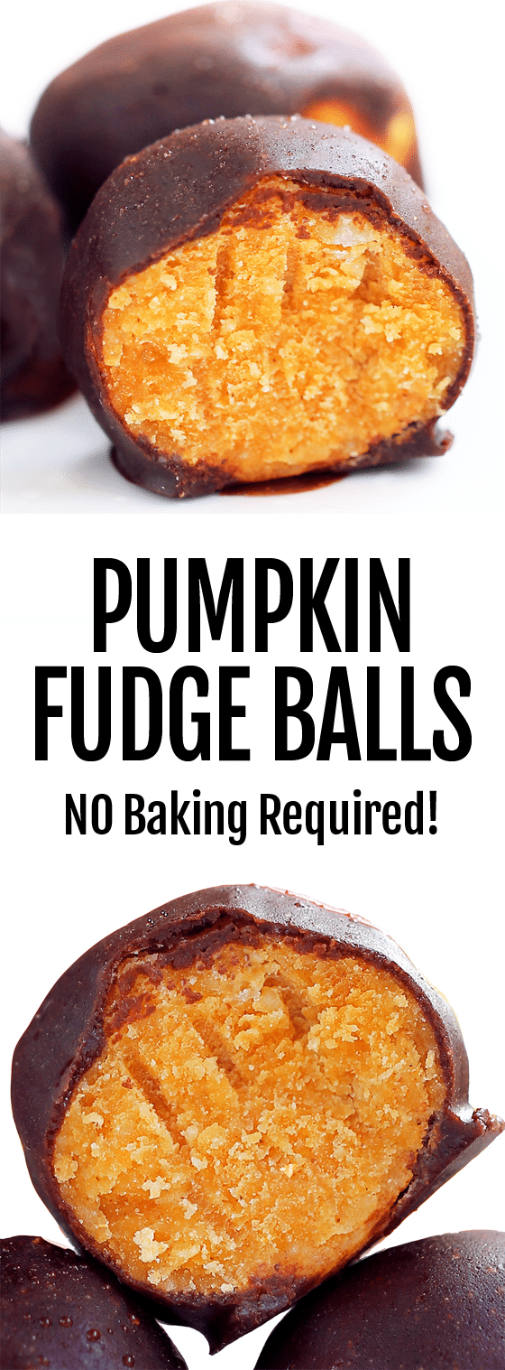 Secretly Healthy No Bake Chocolate Pumpkin Fudge Balls Secretly Healthy No Bake Chocolate Pumpkin Fudge Balls