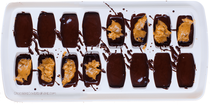 chocolate ice cube tray chocolate ice cube tray