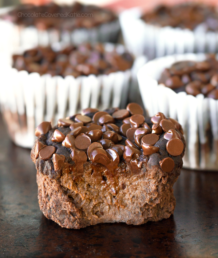 Flourless Chocolate Blender Muffins Flourless Chocolate Blender Muffins