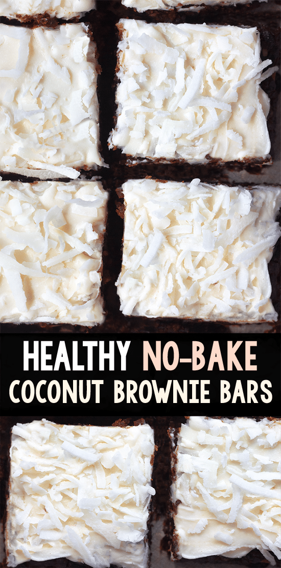 Coconut Chocolate Chip Brownie Healthy Snack Bars Coconut Chocolate Chip Brownie Healthy Snack Bars