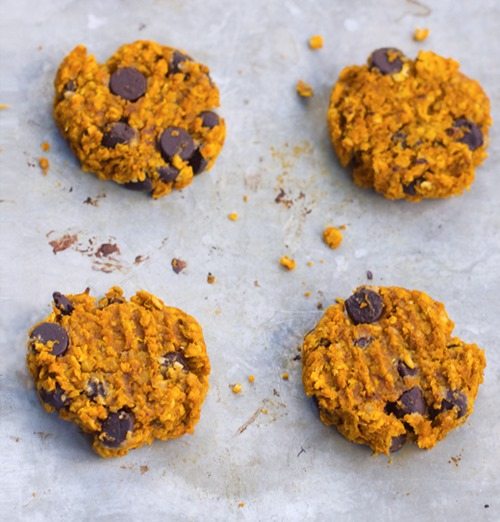 pumpkin chocolate chip cookies healthy pumpkin chocolate chip cookies healthy