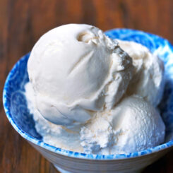 Coconut Milk Ice Cream Recipe