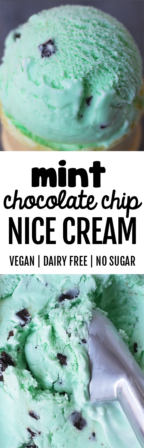 Mint Chocolate Chip Nice Cream with No Sugar and No Dairy Mint Chocolate Chip Nice Cream with No Sugar and No Dairy