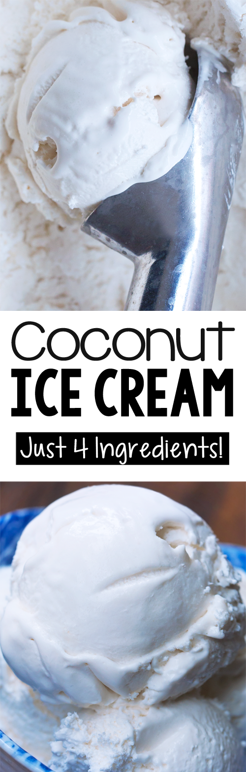 The Best Easy Coconut Ice Cream Recipe The Best Easy Coconut Ice Cream Recipe