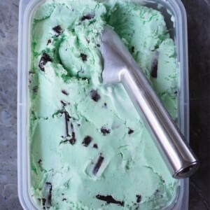 Mint Chocolate Chip Nice Cream