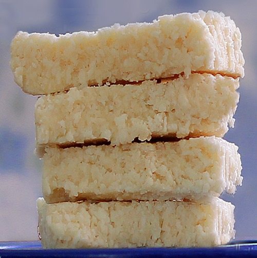 coconut paleo bars coconut paleo bars