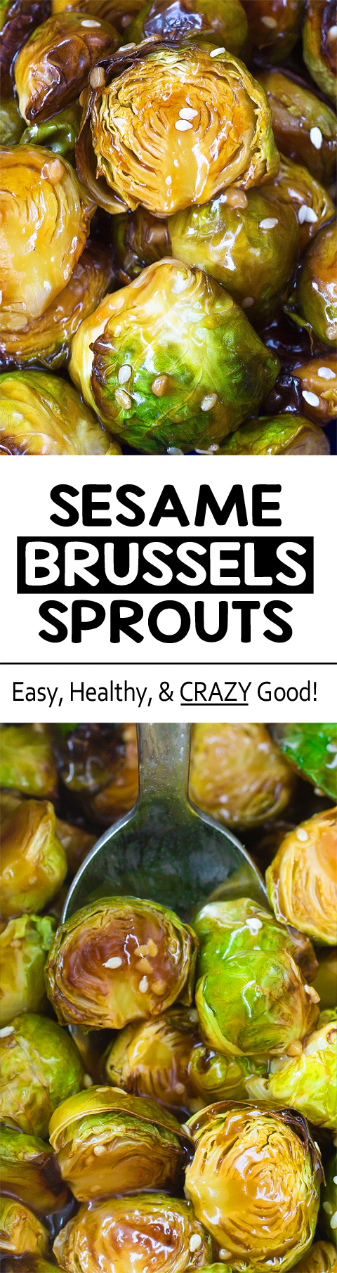 This recipe will seriously make you love brussels sprouts! This recipe will seriously make you love brussels sprouts!