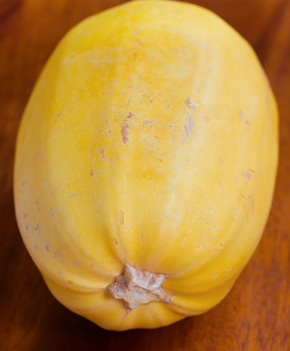 spaghetti squash health spaghetti squash health