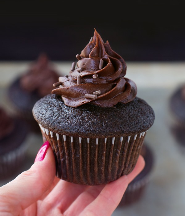 chocolate cupcakes chocolate cupcakes