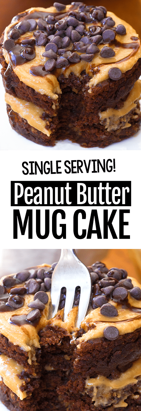Single Serving Easy Chocolate Peanut Butter Mug Cake Recipe Single Serving Easy Chocolate Peanut Butter Mug Cake Recipe