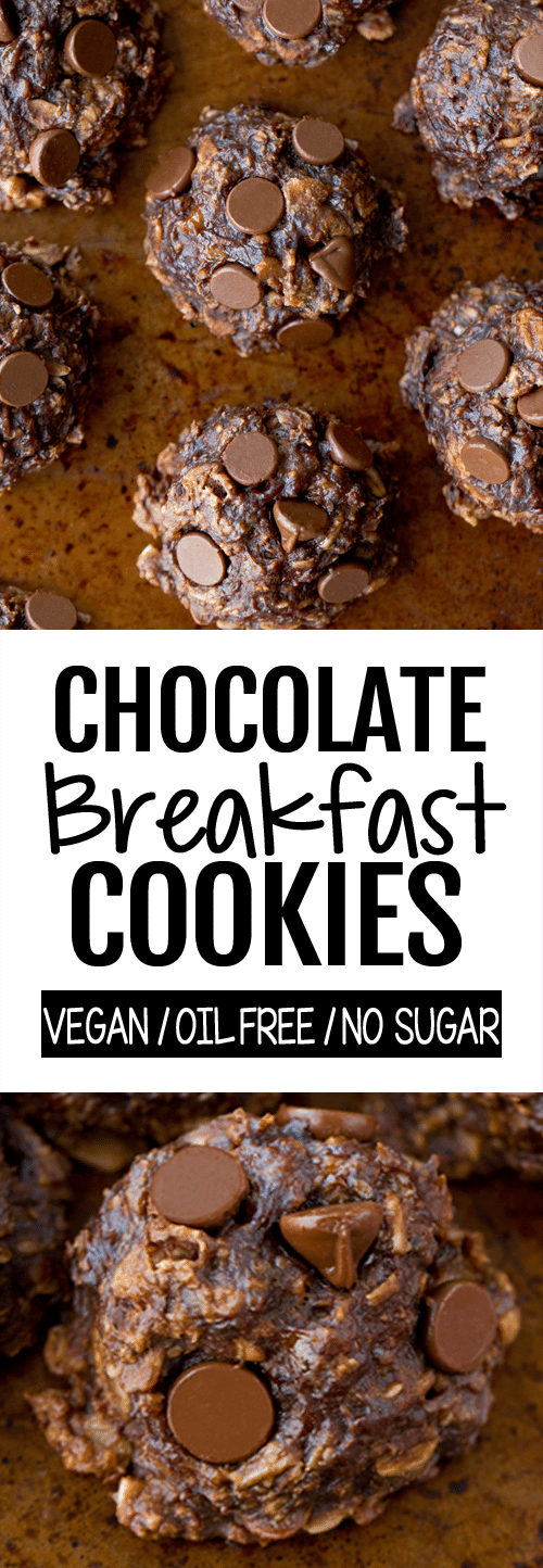 No Bake Healthy Chocolate Breakfast Cookie Recipe No Bake Healthy Chocolate Breakfast Cookie Recipe