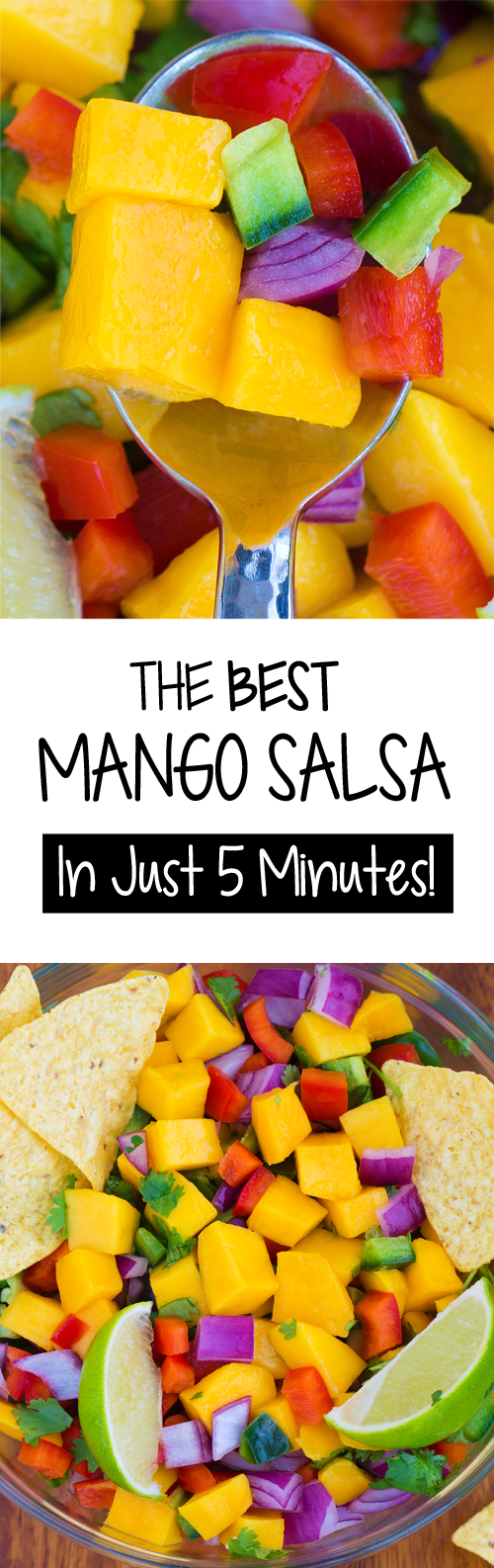 The Best Easy Mango Salsa Recipe The Best Easy Mango Salsa Recipe
