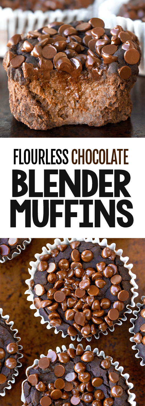 Secretly Healthy Flourless Chocolate Blender Muffins Secretly Healthy Flourless Chocolate Blender Muffin Recipe