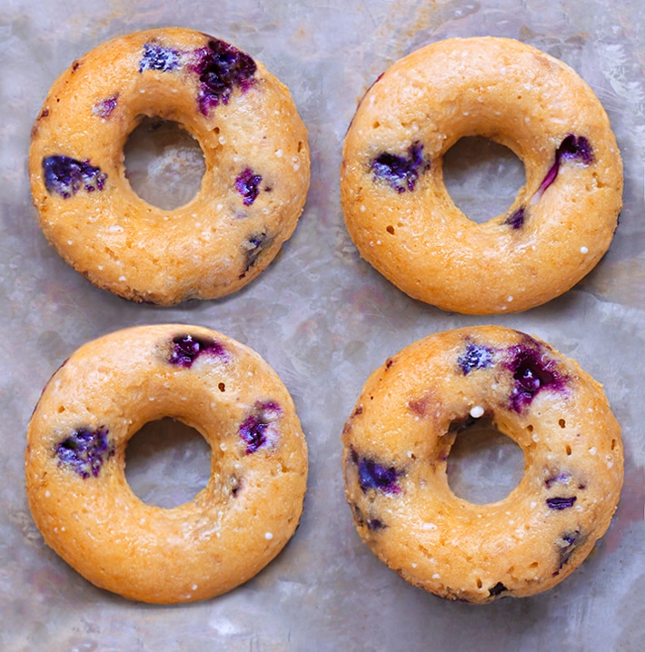 Vegan Blueberry Doughnut Recipe Vegan Blueberry Doughnut Recipe