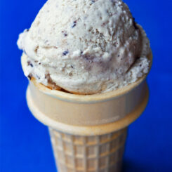 Vegan Oreo Ice Cream Recipe