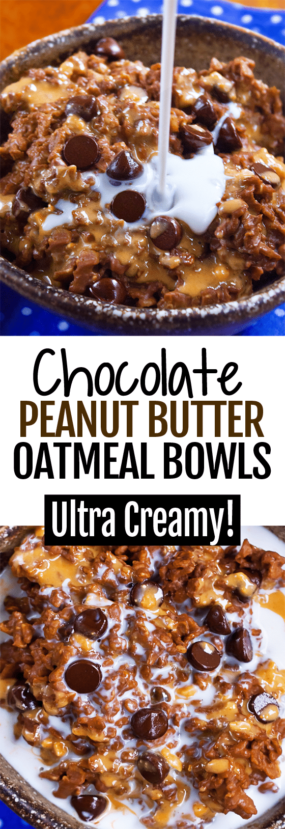 Single Serving Chocolate Peanut Butter Cup Oatmeal Bowls Single Serving Chocolate Peanut Butter Cup Oatmeal Bowls