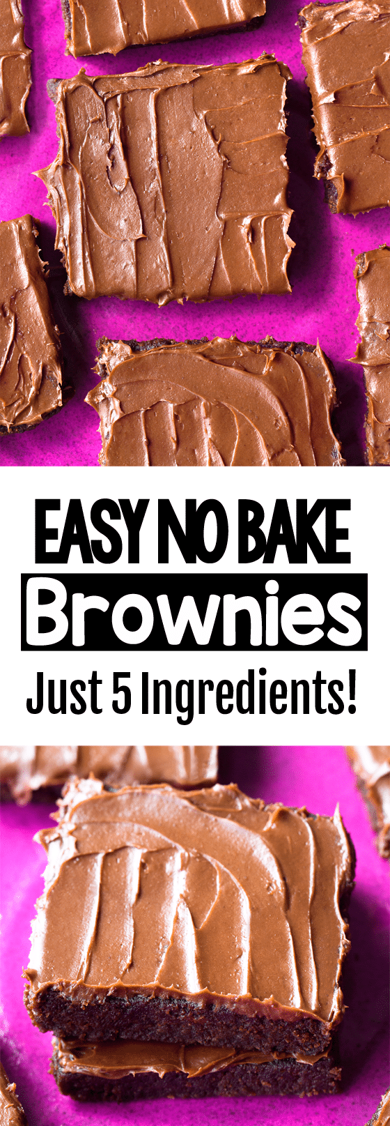 5 Ingredient Secretly Healthy No Bake Brownie Recipe 5 Ingredient Secretly Healthy No Bake Brownie Recipe