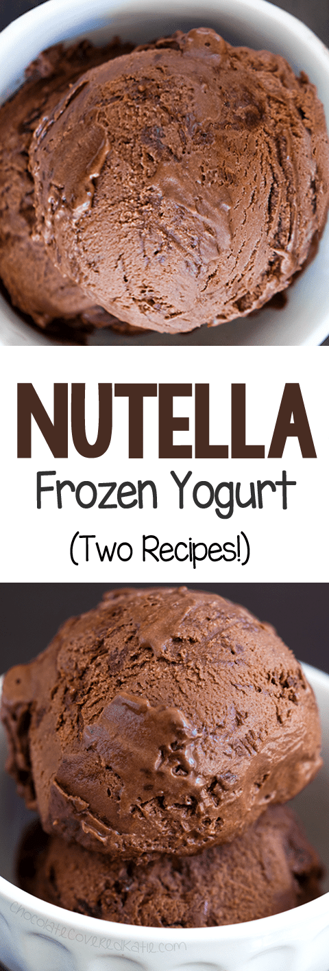 Creamy Nutella Frozen Yogurt Recipe Creamy Nutella Frozen Yogurt Recipe