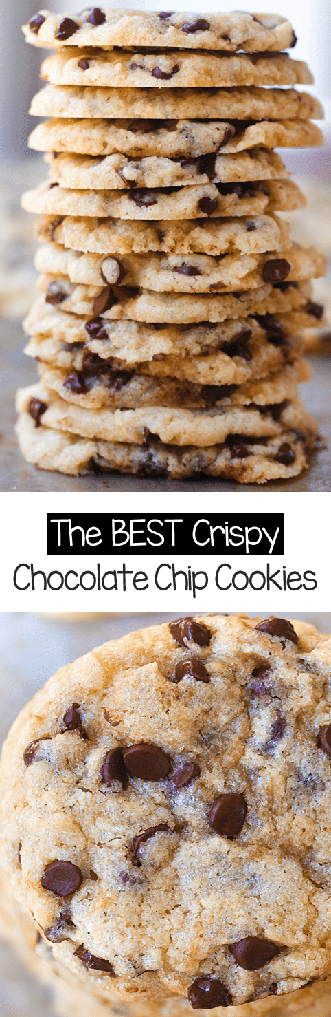 The BEST Crispy Chocolate Chip Cookie Recipe The BEST Crispy Chocolate Chip Cookie Recipe