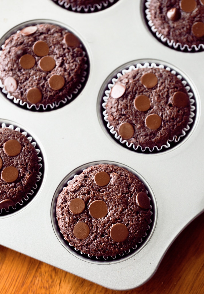 Chocolate Healthy Snack Muffins Chocolate Healthy Snack Muffins