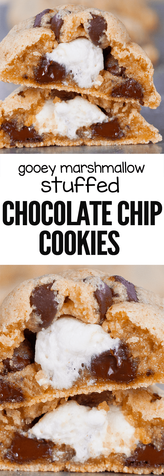 Gooey Chocolate Chip Marshmallow Cookie Recipe Gooey Chocolate Chip Marshmallow Cookie Recipe