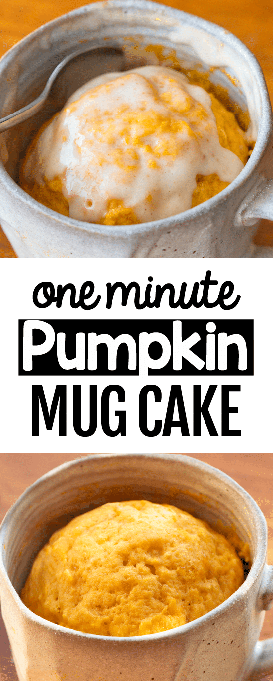 One Minute Vegan Pumpkin Mug Cake Recipe One Minute Vegan Pumpkin Mug Cake Recipe
