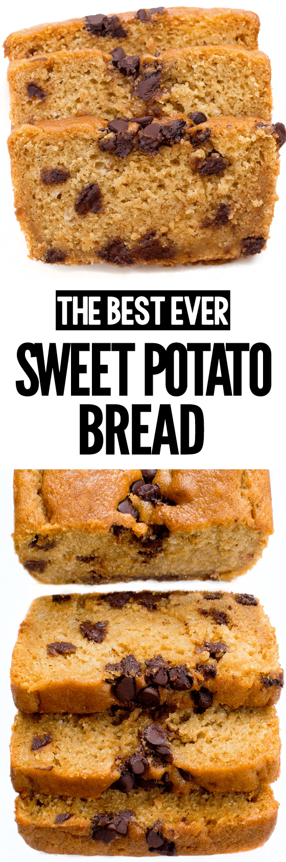 The Best Sweet Potato Bread Recipe The Best Sweet Potato Bread Recipe