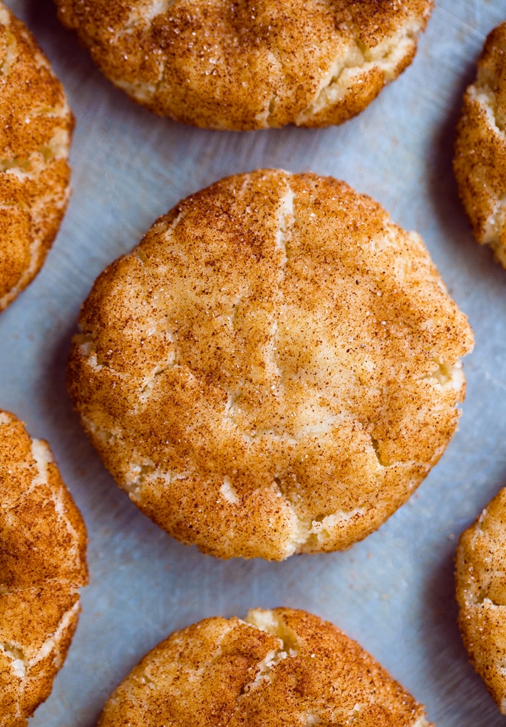 Vegan Snickerdoodles Vegan Snickerdoodles