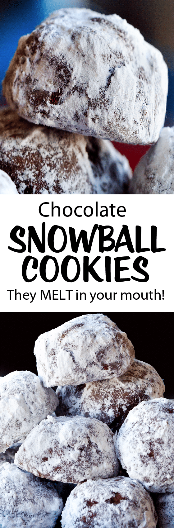 The Best Chocolate Snowball Cookie Holiday Recipe The Best Chocolate Snowball Cookie Holiday Recipe