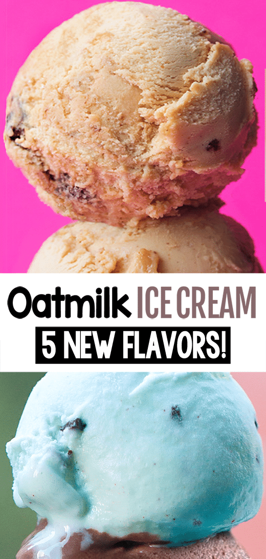 Creamy Dairy Free Oat Milk Vegan Ice Cream Recipe Creamy Dairy Free Oat Milk Vegan Ice Cream Recipe