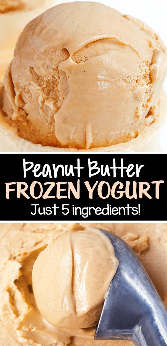 Peanut Butter Froyo Recipe Peanut Butter Froyo Recipe