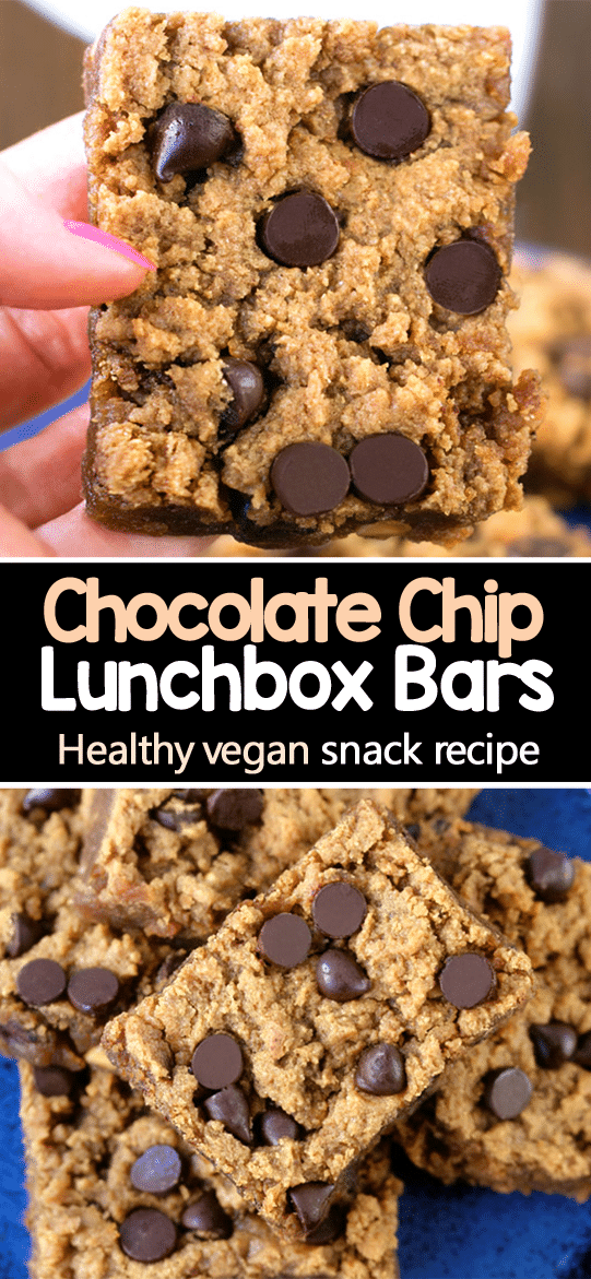 Healthy Lunch Box Snack Idea Healthy Lunch Box Snack Idea