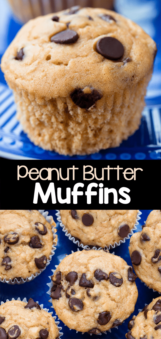 How To Make Peanut Butter Muffins No Eggs How To Make Peanut Butter Muffins No Eggs