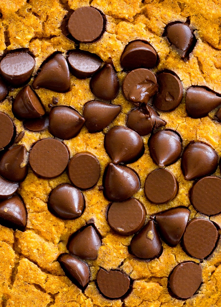 Blended Pumpkin Baked Oats Blended Pumpkin Baked Oats