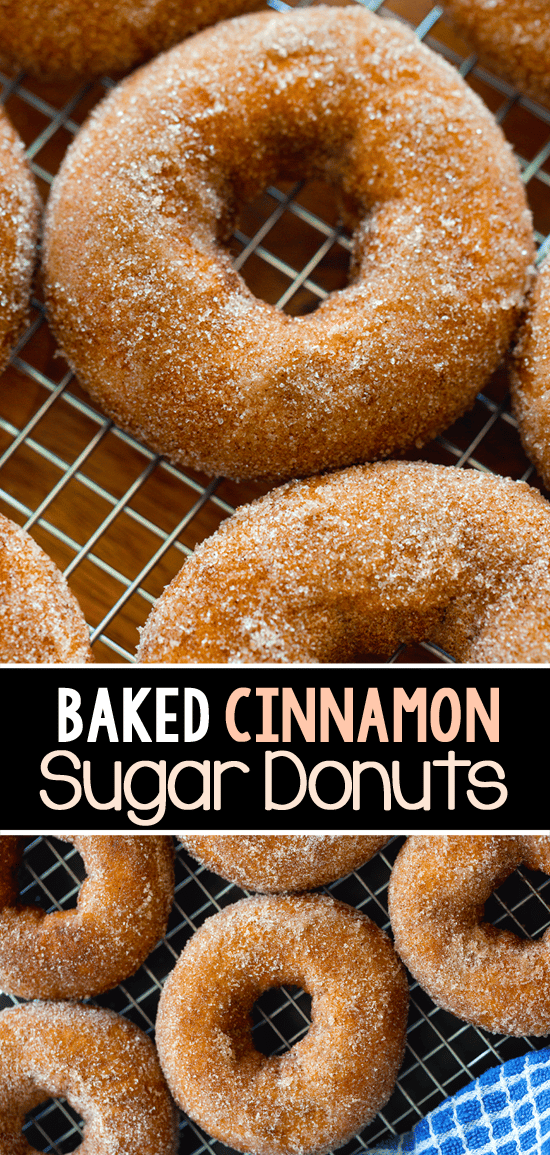 Cinnamon Sugar Baked Doughnut Recipe Cinnamon Sugar Baked Doughnut Recipe
