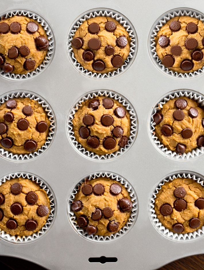 Pumpkin Blender Muffin Recipe Pumpkin Blender Muffin Recipe