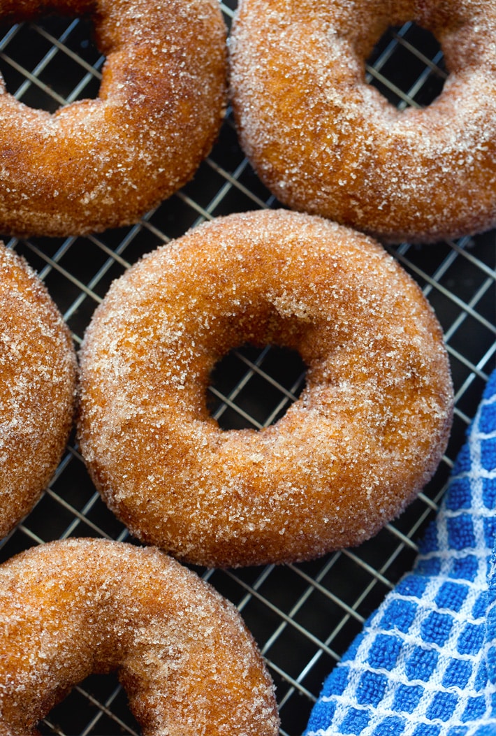 The Best Baked Cinnamon Sugar Donut Recipe The Best Baked Cinnamon Sugar Donut Recipe