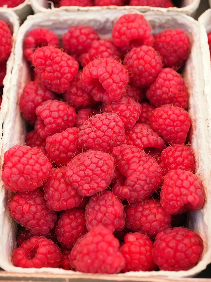 Container Of Raspberries Container Of Raspberries