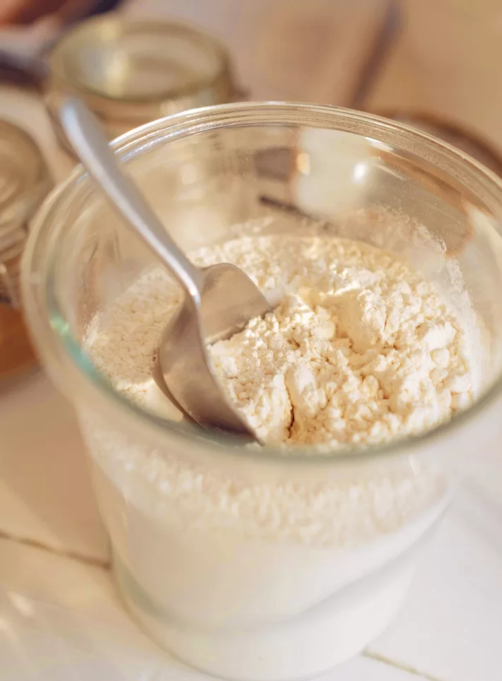 Vegan Protein Powder Vegan Protein Powder