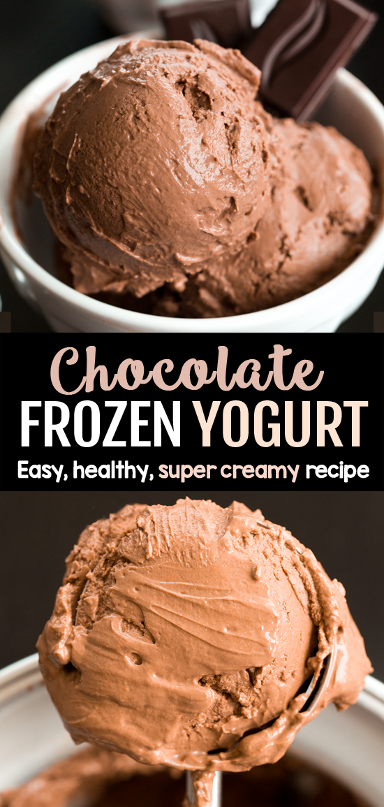 Homemade Chocolate Froyo Recipe Homemade Chocolate Froyo Recipe