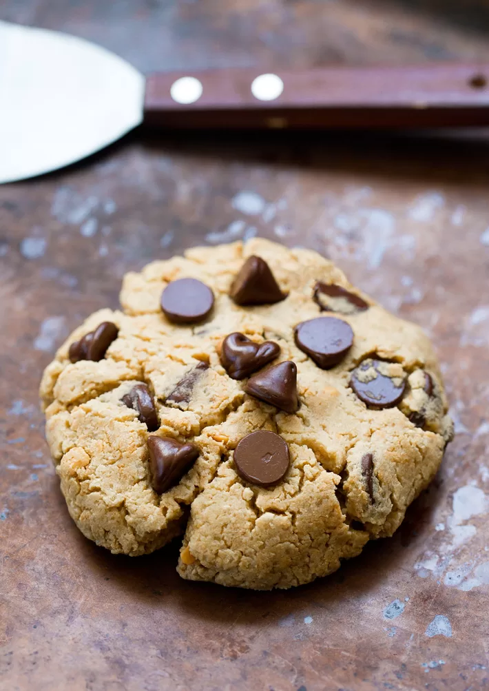 Peanut Butter Protein Cookie Recipe Peanut Butter Protein Cookie Recipe
