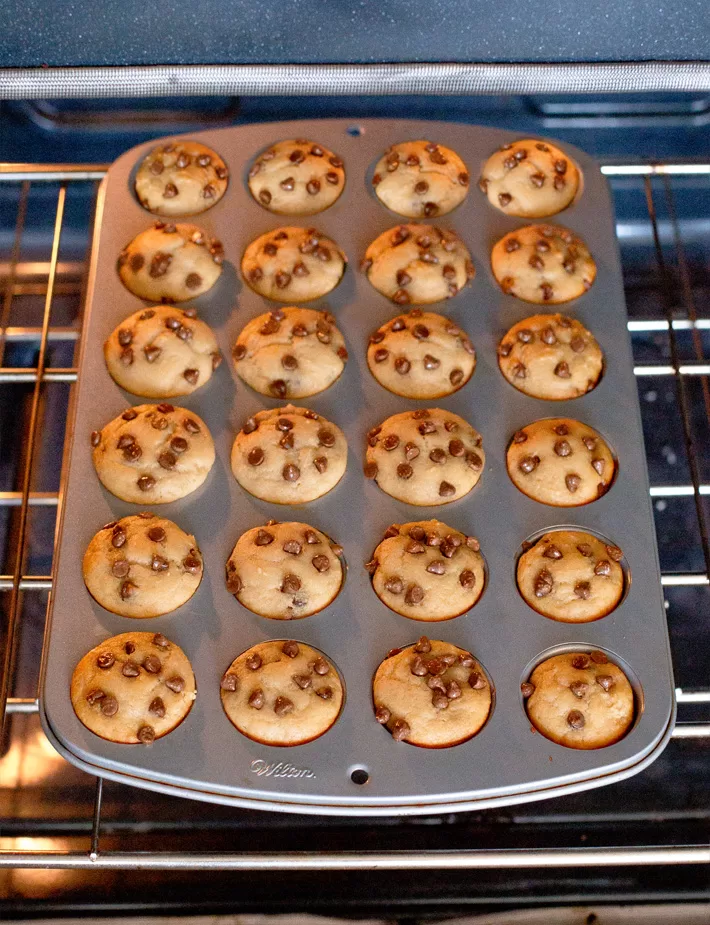 Baking Homemade Protein Muffins In The Oven Baking Homemade Protein Muffins In The Oven
