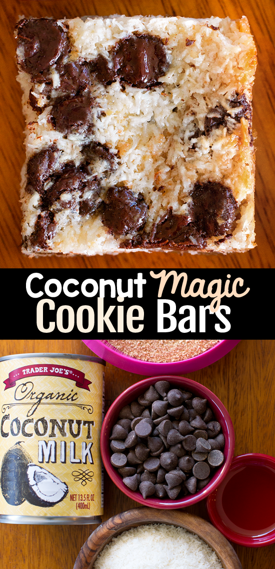 Chocolate Chip Coconut Dessert Bars Chocolate Chip Coconut Dessert Bars