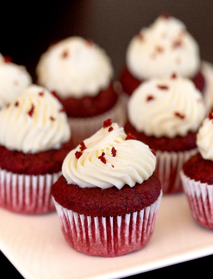 Red Velvet Chocolate Cupcakes Red Velvet Chocolate Cupcakes