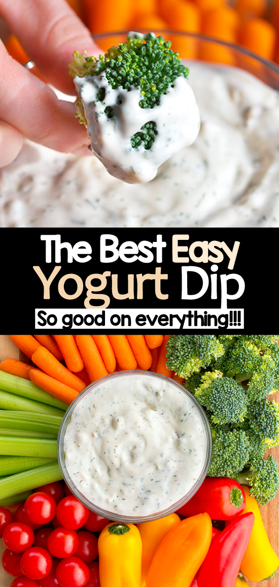 5 Minute Healthy Greek Yogurt Recipe 5 Minute Healthy Greek Yogurt Recipe