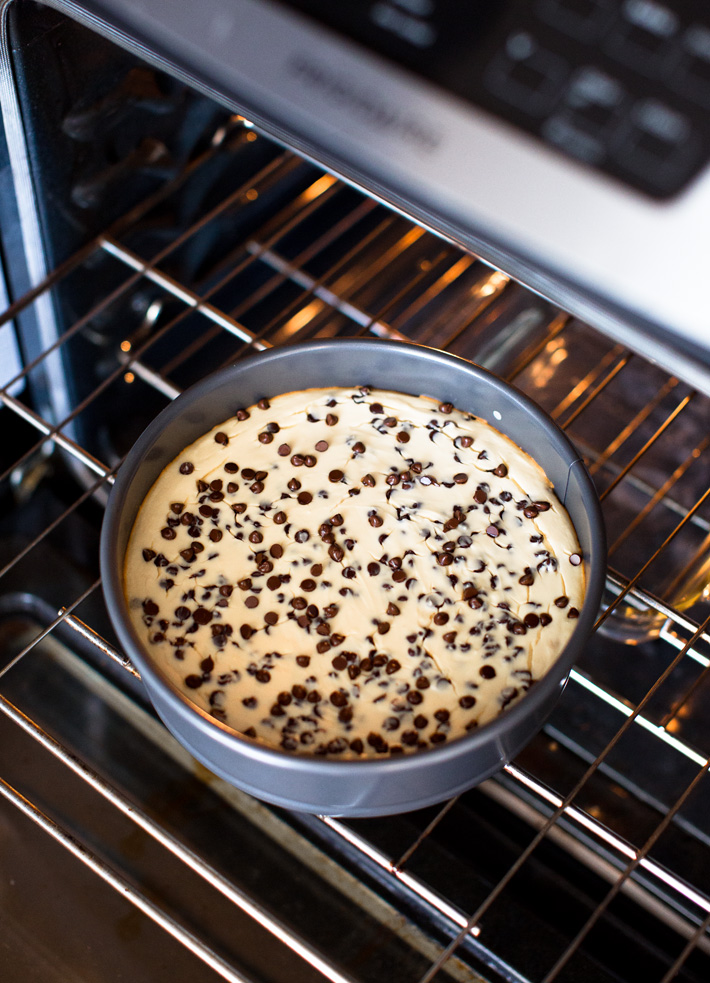 Protein Cheesecake Recipe In Springform Pan Protein Cheesecake Recipe In Springform Pan